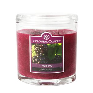 Mulberry Jar Candle