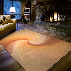 Richmond Sunset Waves Area Rug