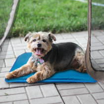 durable kennel mat