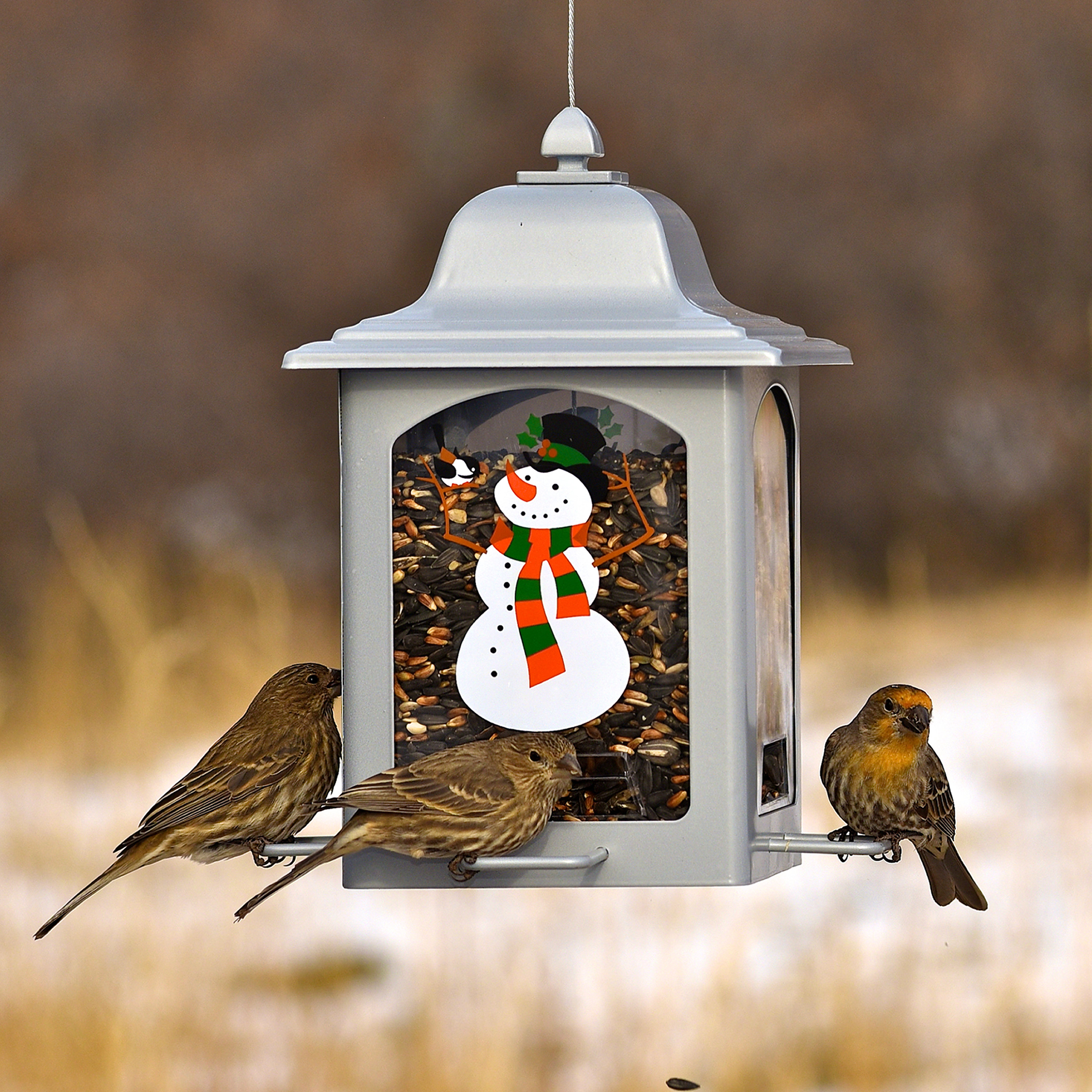 Bird Wildlife Accessories Garden Patio Large Silver Metal
