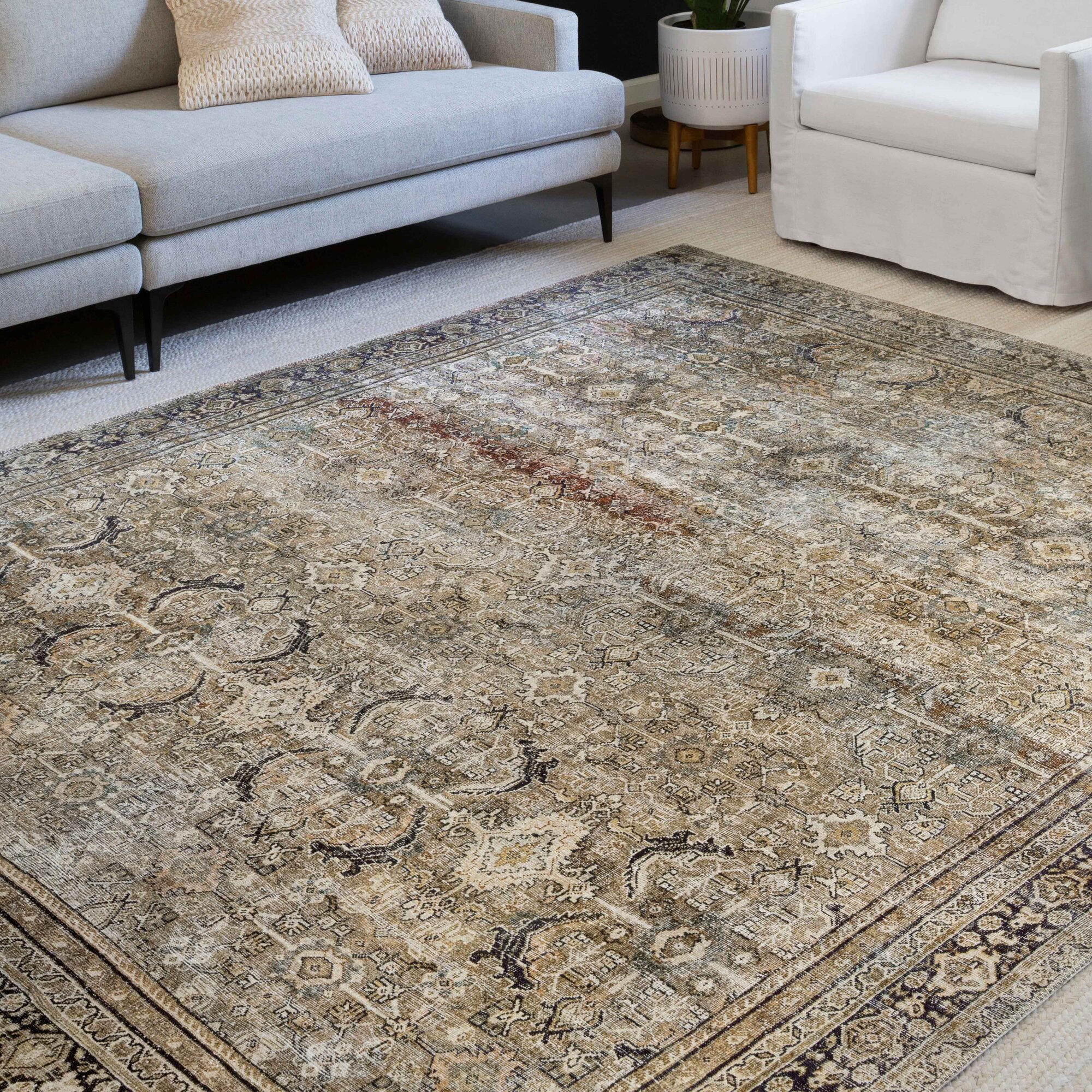 Giacinto Oriental Olive/Charcoal Area Rug