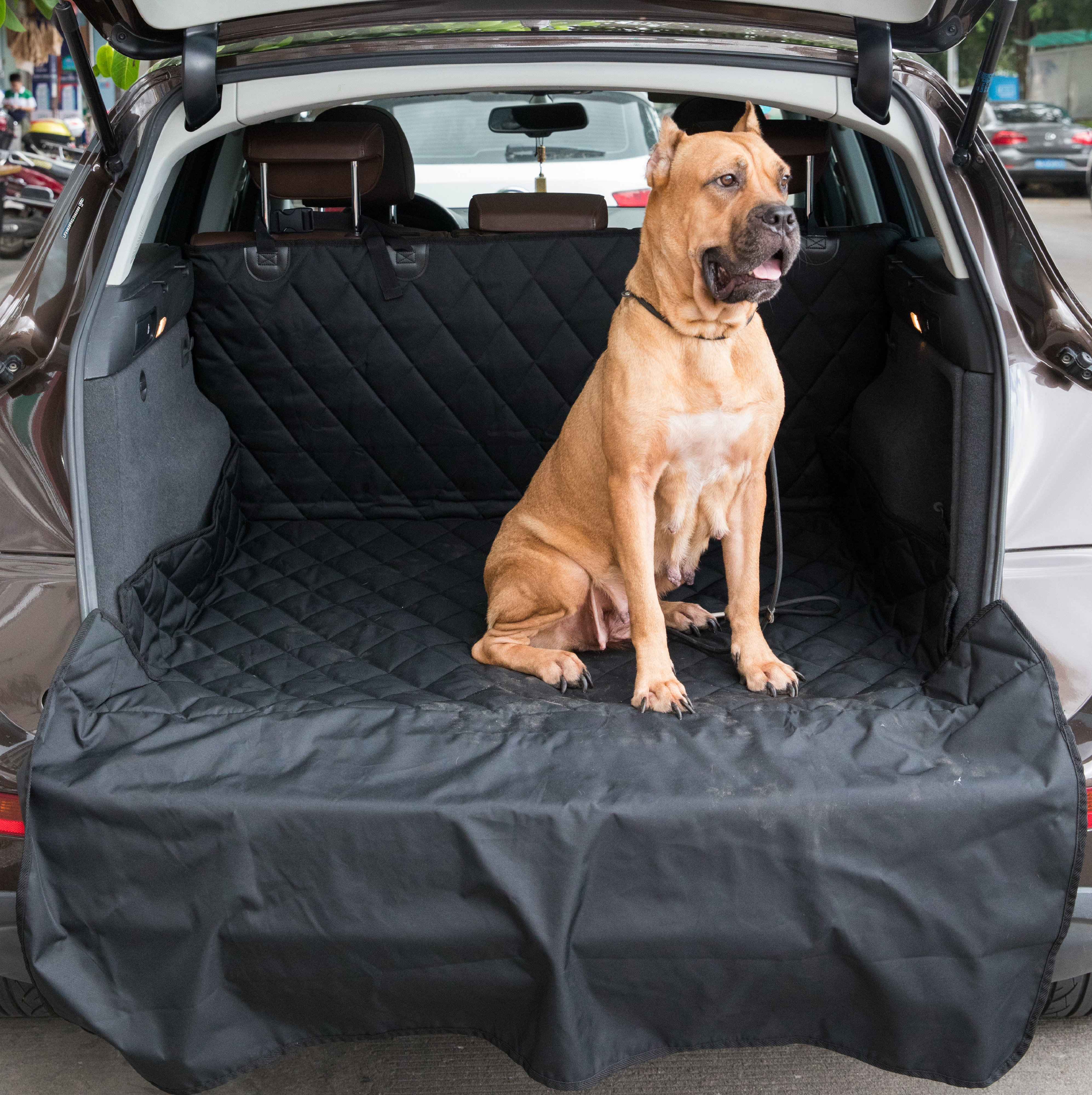 Tucker Murphy Pet Serio Polyester Seat Cover Wayfair