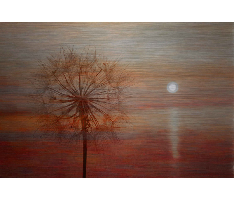 Parveztaj Dandy Sunset By Parvez Taj Unframed Print On Metal