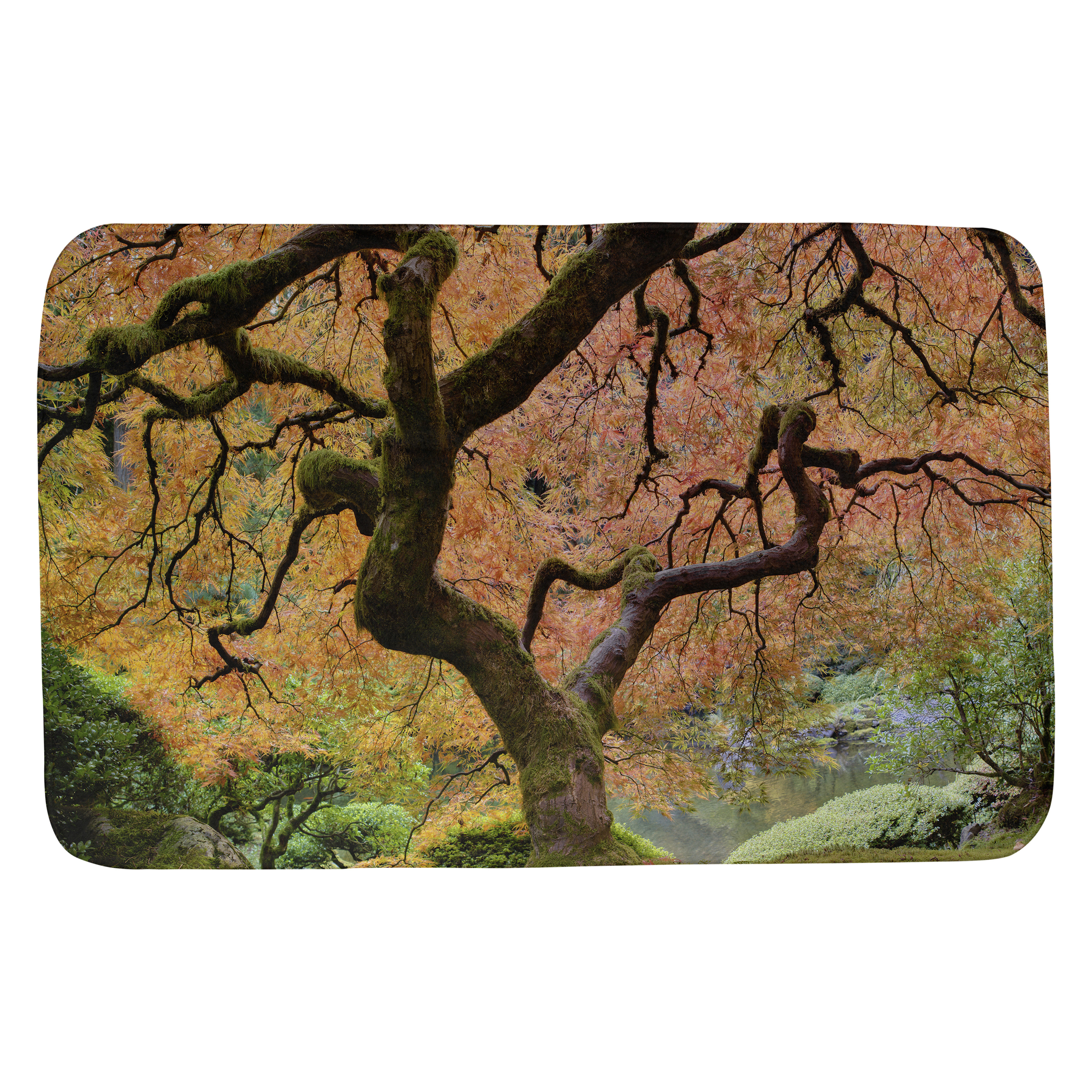 Winston Porter Oram Anese Maple Tree Bath Rug Wayfair Winston Porter Oram Anese Maple Tree