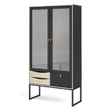 Frosted Glass Door Cabinet Wayfair