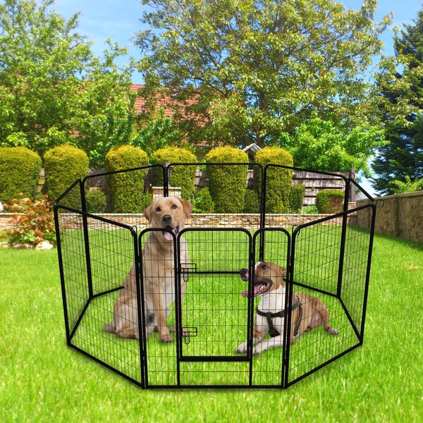aukuyee Large Indoor Metal Puppy Dog Run Fence Indoor Foldable Metal ...