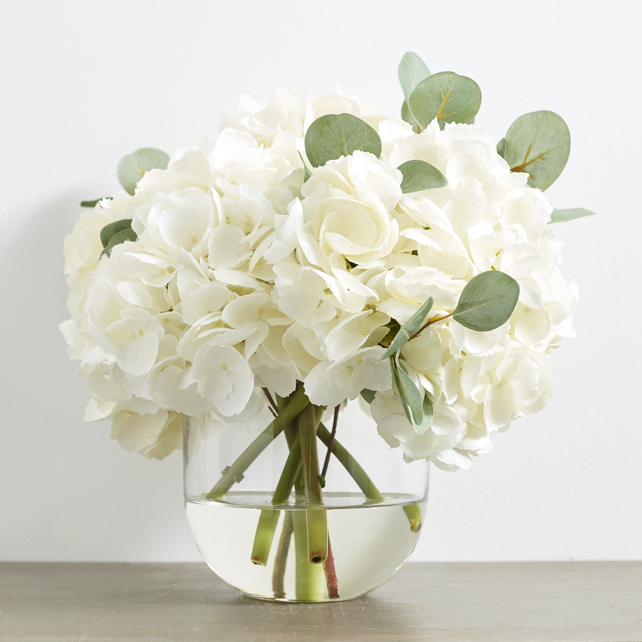 Darbycreektrading Large White Hydrangea Eucalyptus Arrangement In Rounded Glass Vase Wayfair