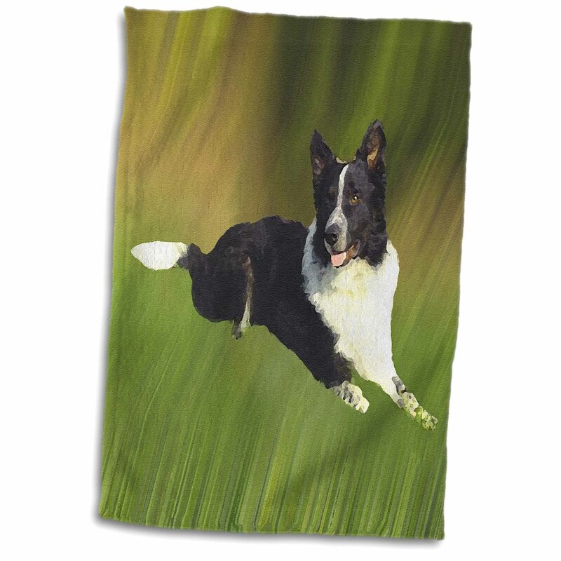 border collie stuff