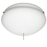 Ceiling Fan Replacement Globes Wayfair