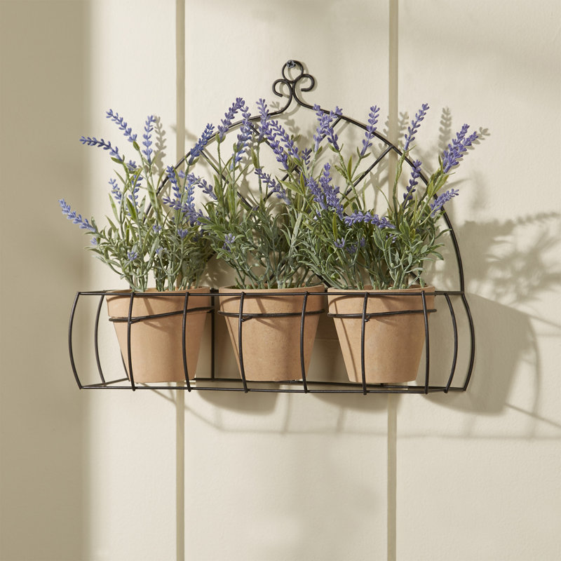 3 Piece Potted Lavender Flower Set with Rack