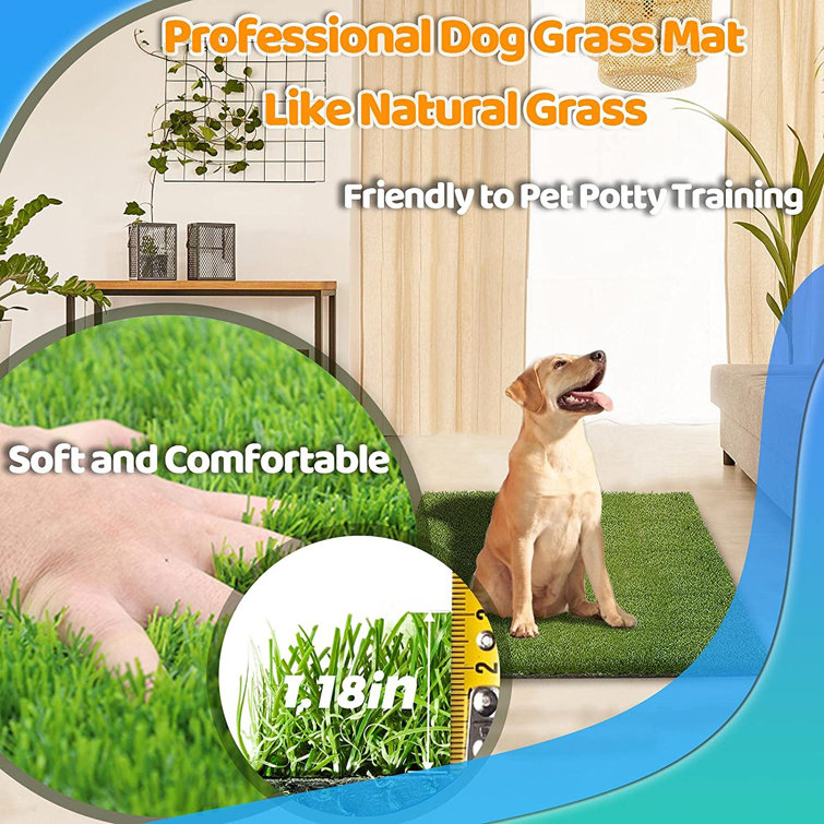 dog real grass pad