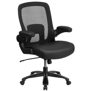 Pyron Ergonomic Mesh Task Chair by Latitude Run