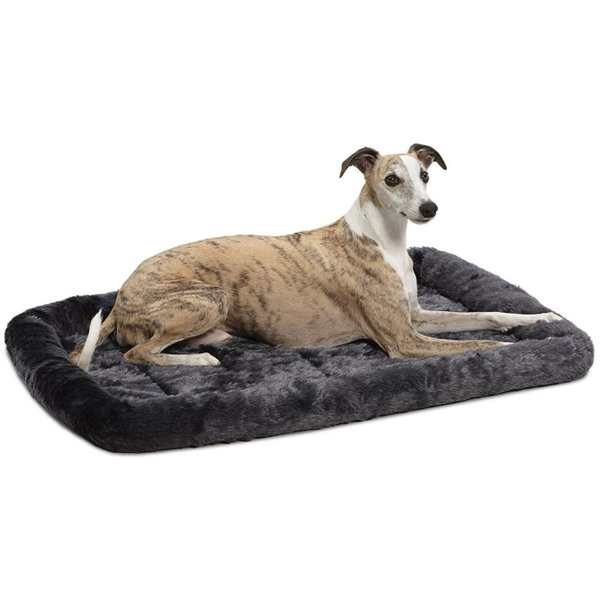 dry bed for dogs