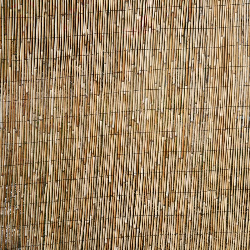 Backyard X Scapes 6 Ft H X 16 Ft W Jumbo Reed Bamboo Fencing