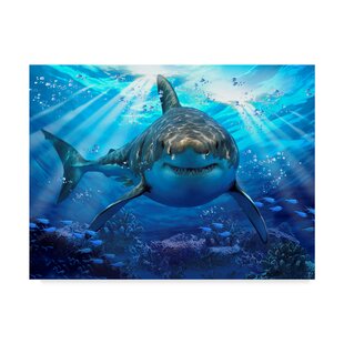 13+ Top Shark canvas wall art images info