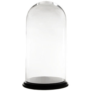 Glass Terrarium Dome Cloche (Set of 2)