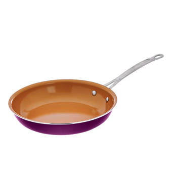 Ayesha Curry Non Stick Skillet Reviews Wayfair