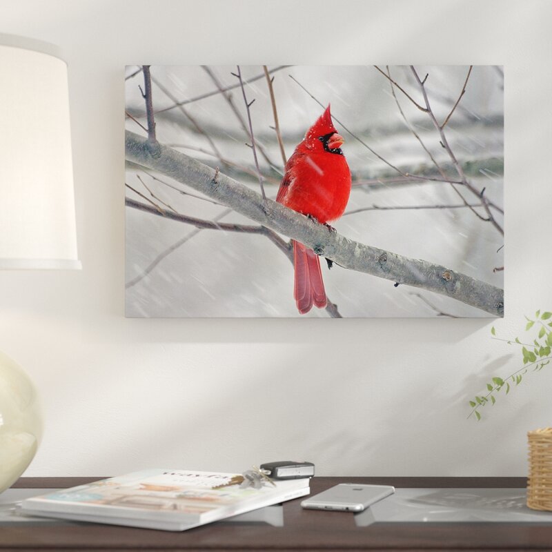 East Urban Home Cardinal Bird Graphic Art Print Reviews Wayfair