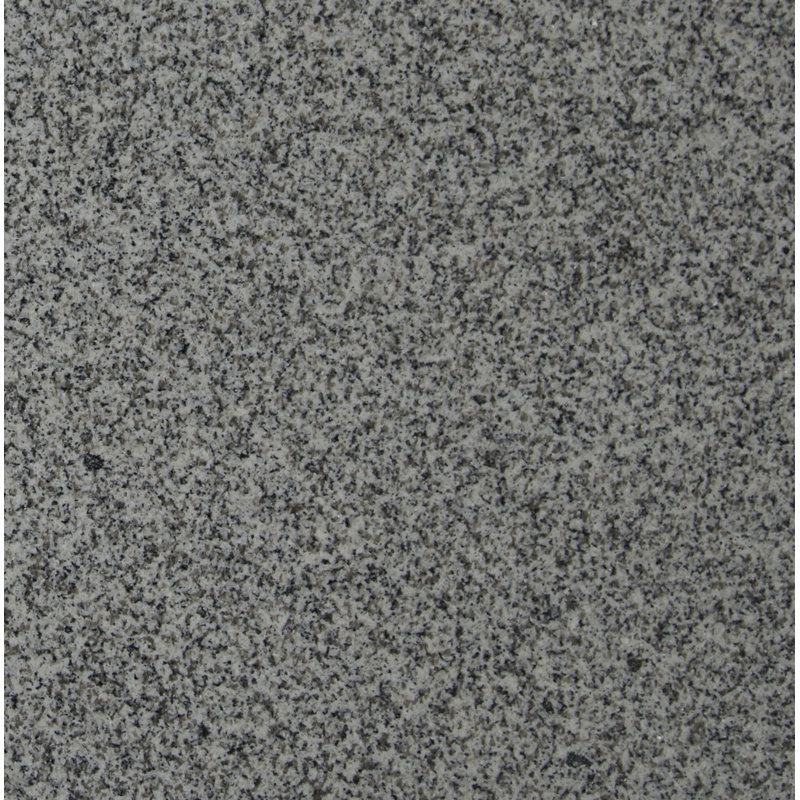 Msi Bianco Catalina 12 X 12 Granite Field Tile Reviews Wayfair