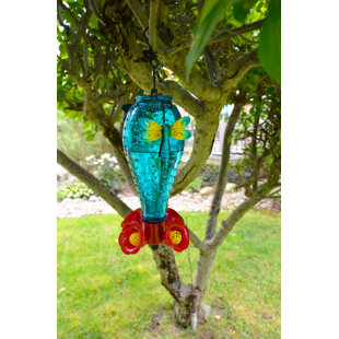 Perky Pet Sapphire Starburst Vintage Hummingbird Feeder Wayfair