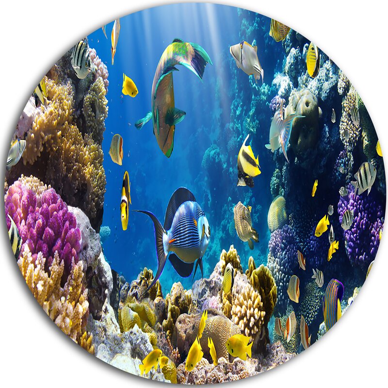 Ocean Fish,Aquarium,Coral,Photos,Frameless Canvas Nature,Home Decor,wall art,summer Ocean Sea fish Saltwater fish Tropical Fish