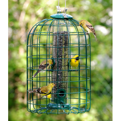 Caged Seed Tube Bird Feeder Woodlink