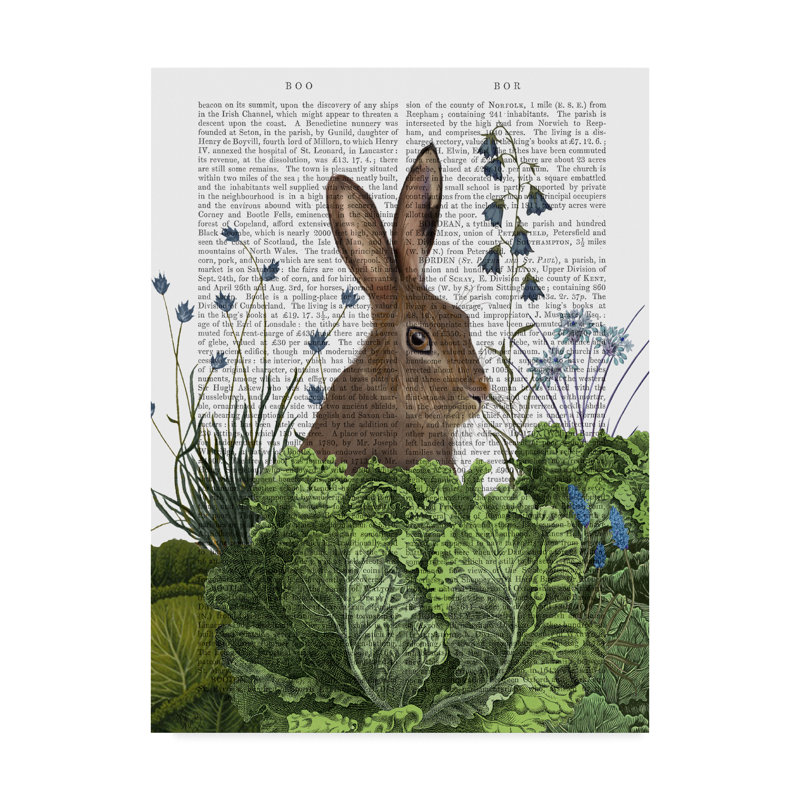 cabbage patch rabbit