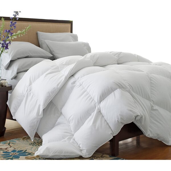 Shop All Season Down Alternative Comforter from Wayfair on Openhaus