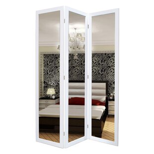 Guidinha Mirror Glass And Wood 3 Panel Room Divider