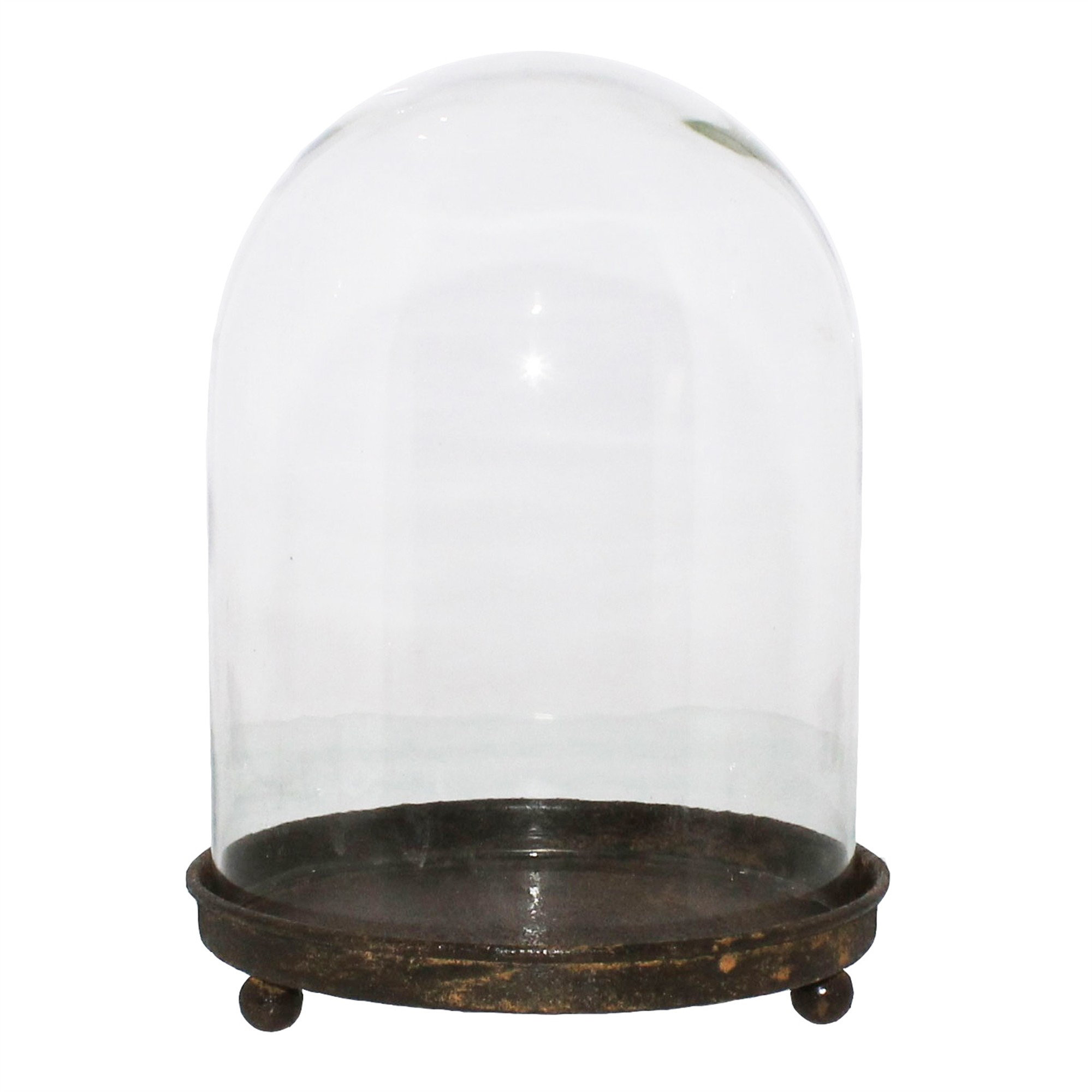 Williston Kenilworth Metal Base Vitrine Cloche Wayfair