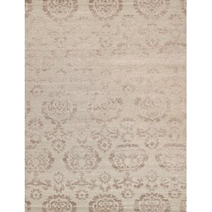 Transitional Hand-Knotted Tan Area Rug