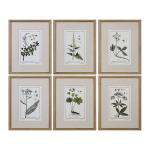 Floral Botanical Study 6 Piece Framed Graphic Art Set