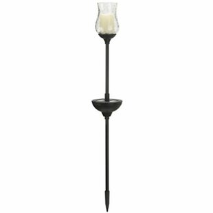 Hadfield Large LED Glass Solar Powered Garden Torch (Set Of 2) By Sol 72 Outdoor