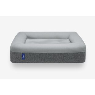 Elevated Dog Beds You Ll Love In 2020 Wayfair