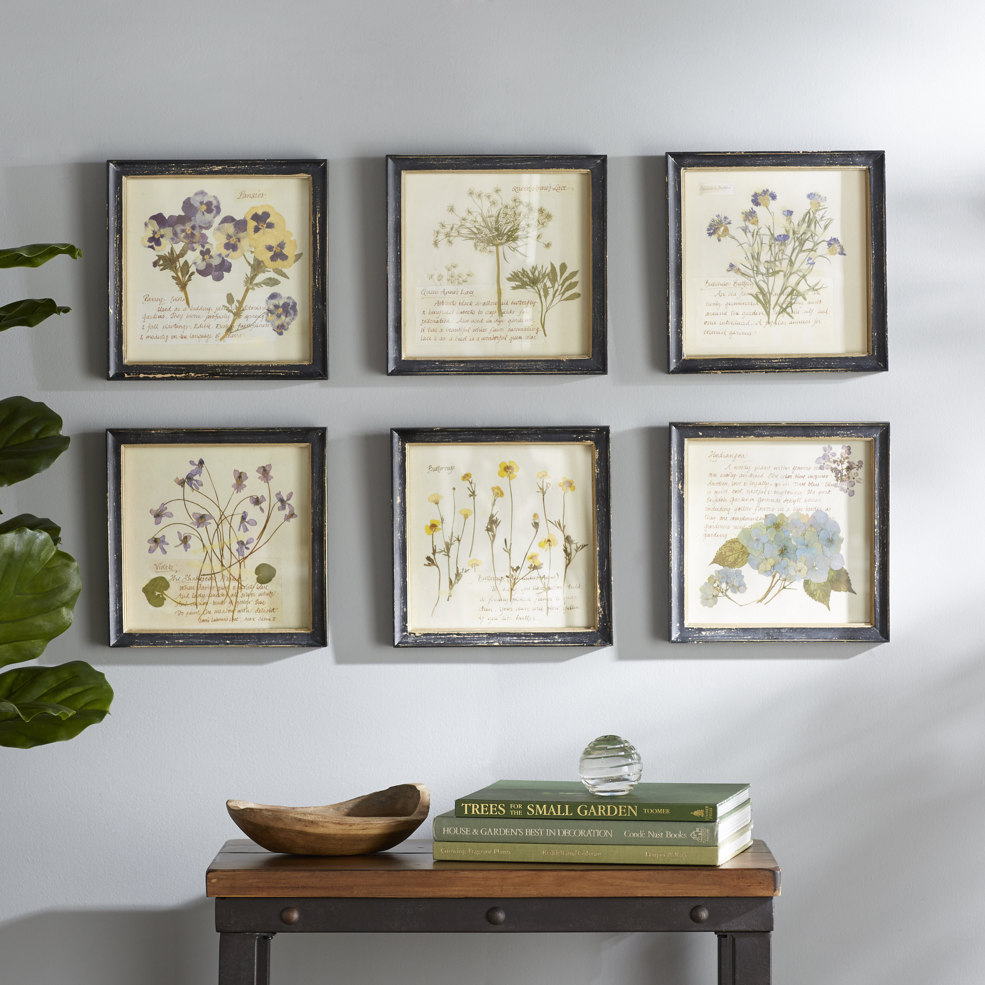 Floral Images 6 Piece Picture Frame Graphic Art Print Set Reviews Birch Lane