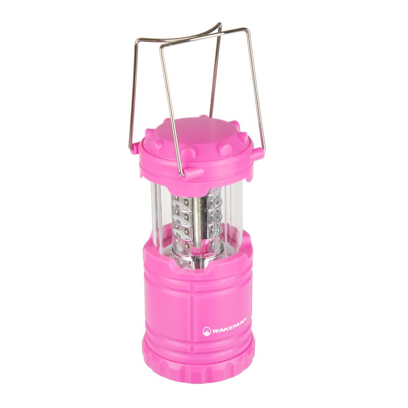 wakeman Collapsible LED Camping Lantern & Reviews | Wayfair