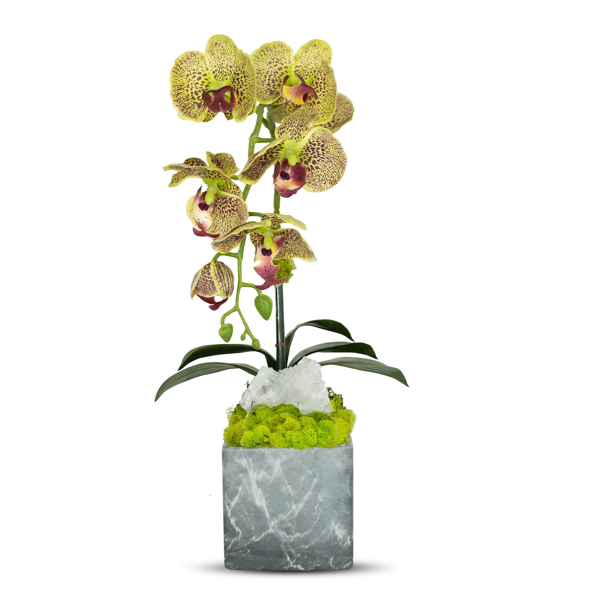 T&C Floral Company Artificial Orchid in Planter Wayfair