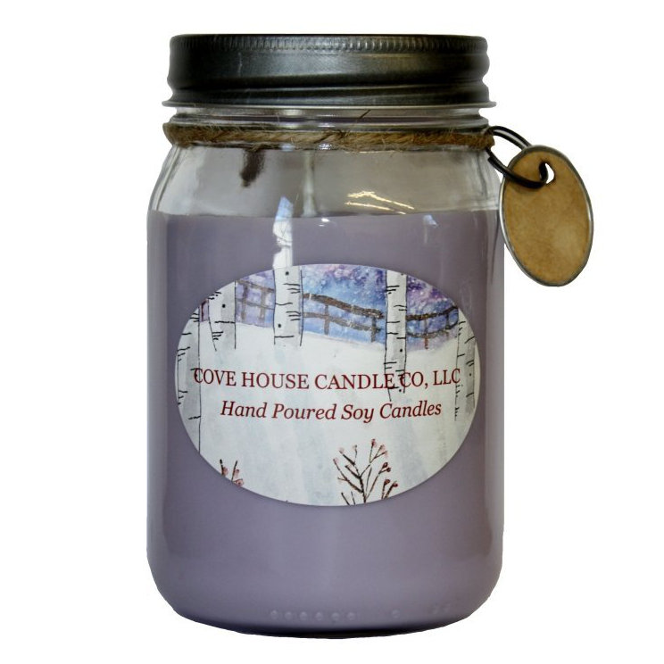 Covehousecandleco Black Raspberry Vanilla Scented Jar Candle Wayfair