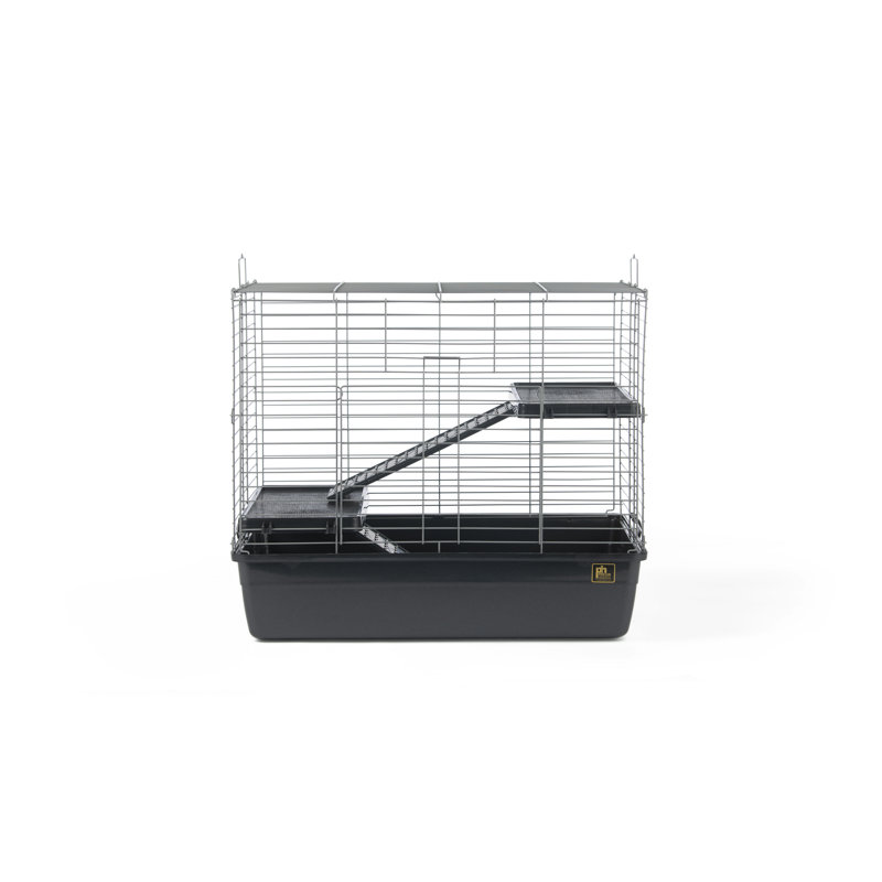 ramps for ferret cages