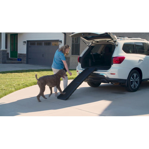 PetSafe® Happy Ride Telescoping Dog Ramp & Reviews | Wayfair