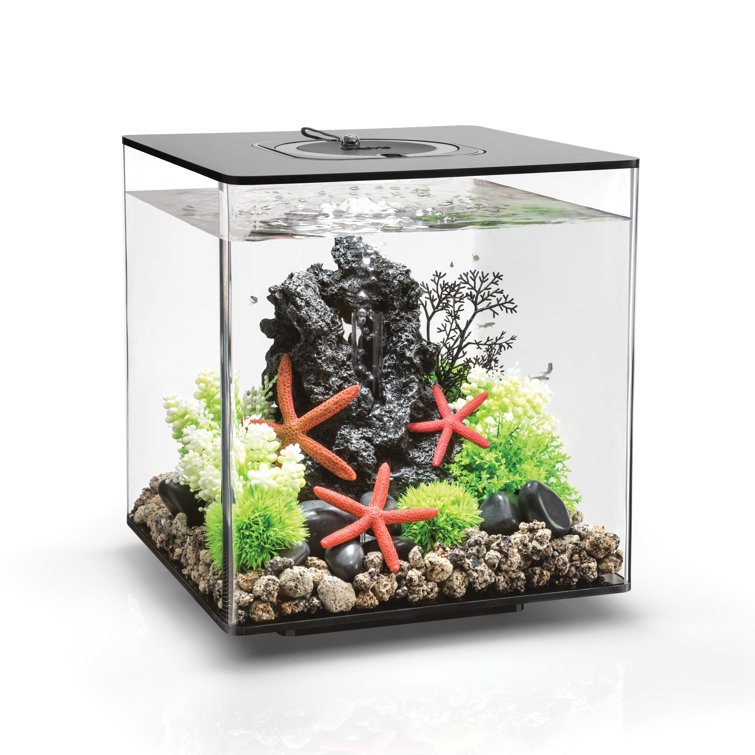 square fish tank