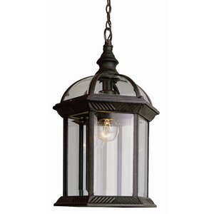 Sarah 1-Light Outdoor Hanging Lantern