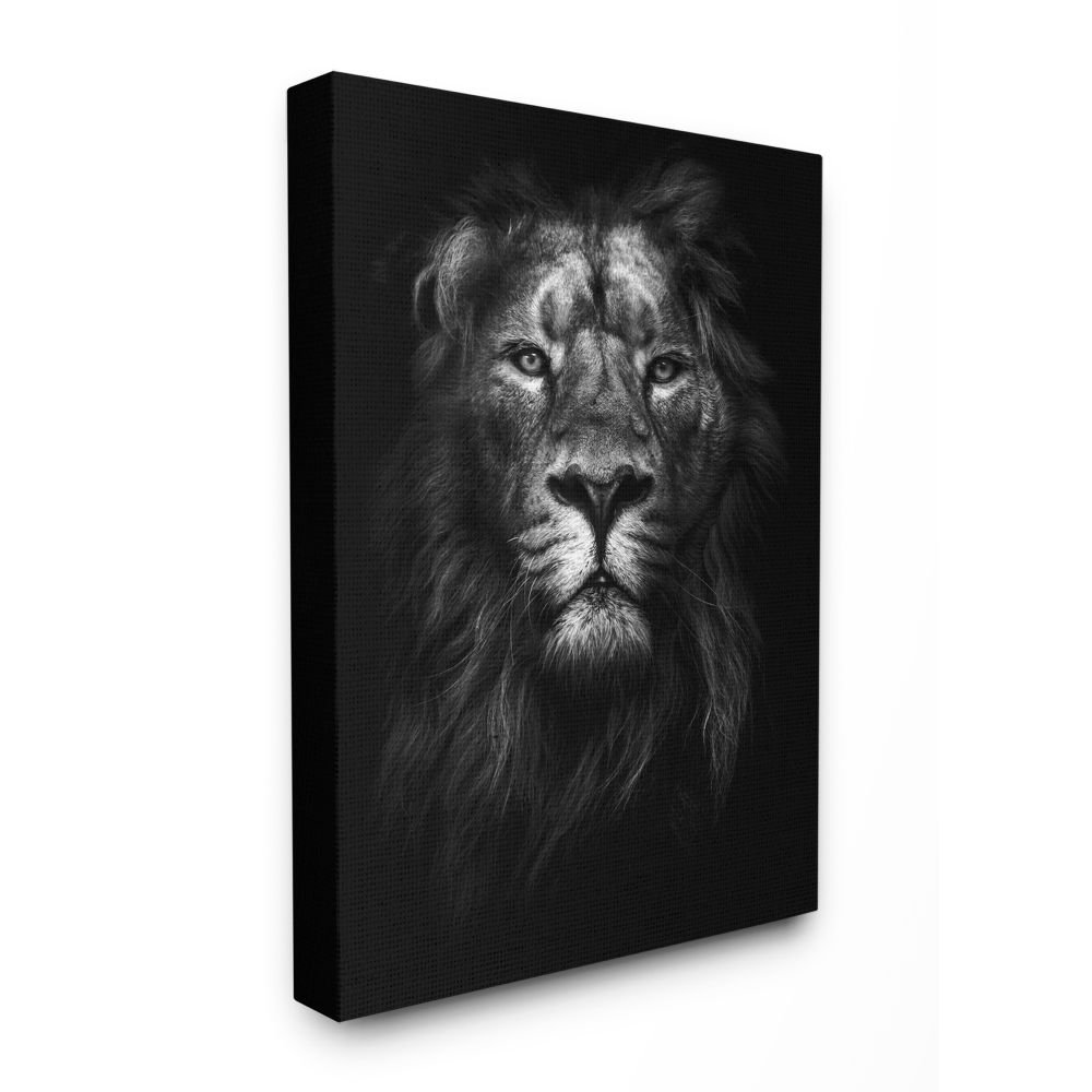 World Menagerie King Of The Jungle Lion In Shadows Black And White By Design Fabrikken Graphic Art Print Wayfair