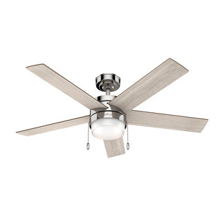 Hunter Regalia Fan Wayfair