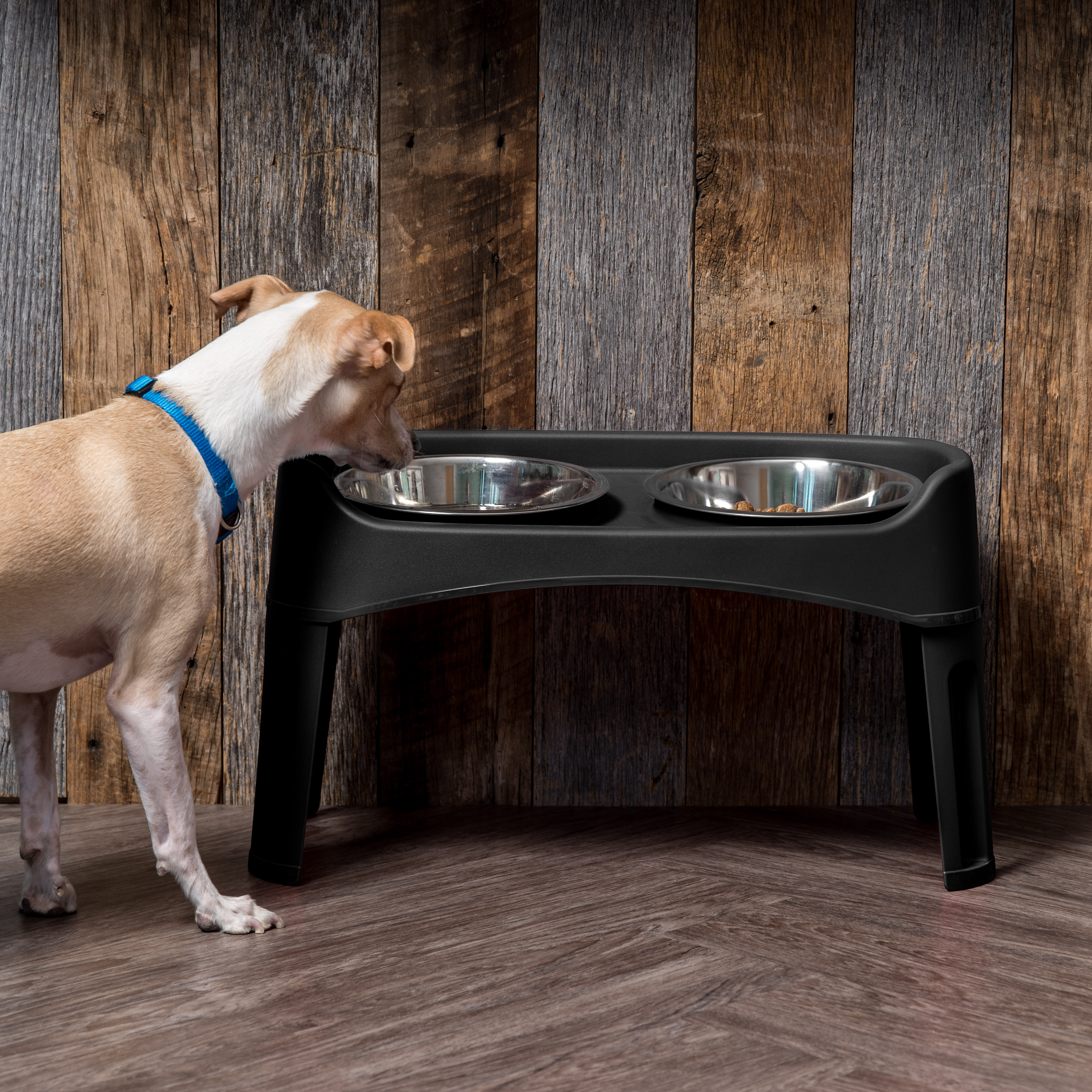 plastic elevated dog feeders