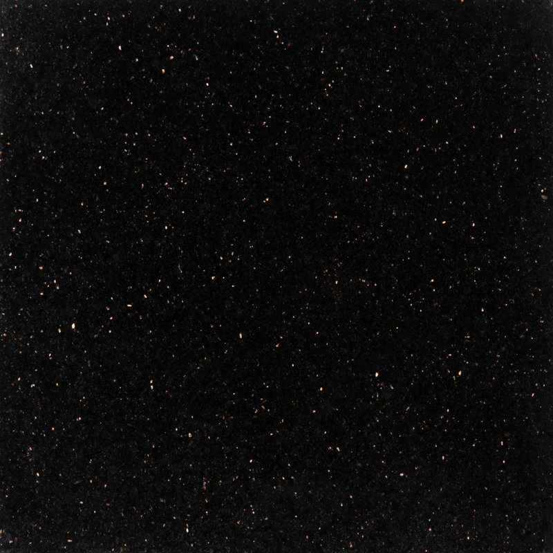 Msi Black Galaxy 18 X 18 Granite Field Tile Reviews Wayfair