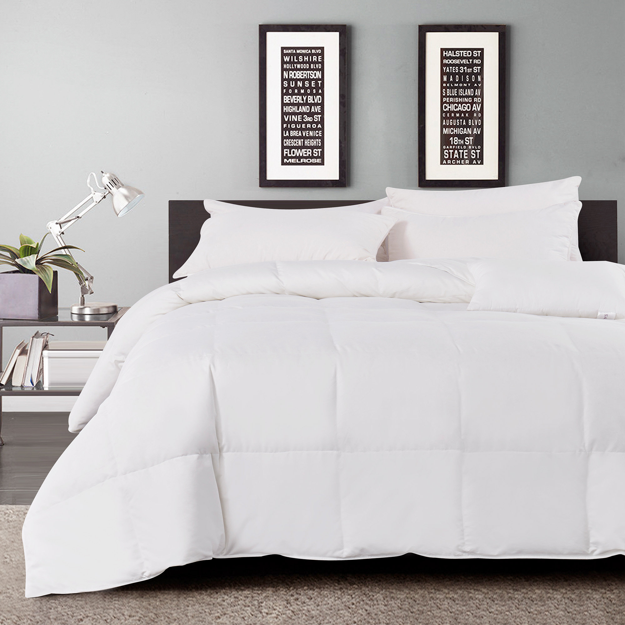 Arsuite Winter Goose Down Comforter & Reviews Wayfair