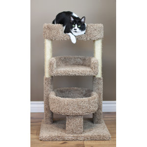 New Cat Condos Round 33