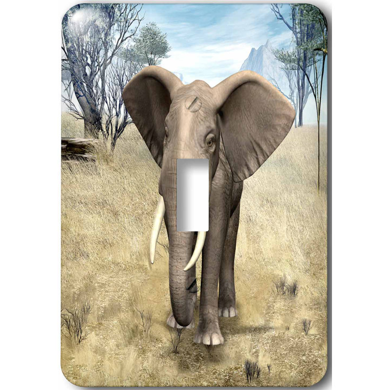 3drose African Savanna Elephant 1 Gang Toggle Light Switch Wall Plate Wayfair