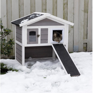 Outdoor Insulated Cat House Wayfair 30 Goleta Insulated Cat Condo